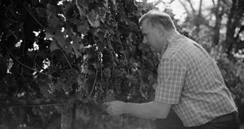 Winemaker, William Ballentine